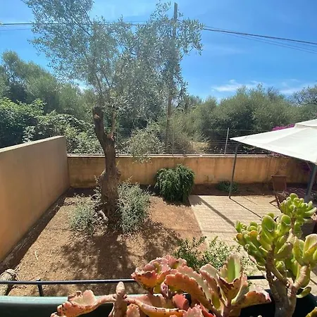 Horti אלגהרו