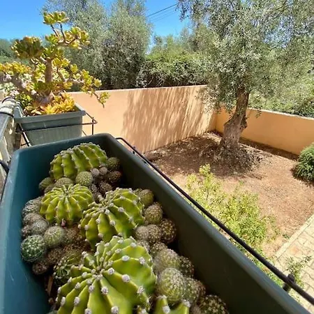 בית נופש Horti אלגהרו